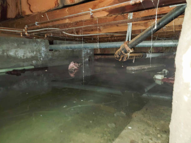 Best 24-hour water damage restoration  in Bren Arrow, OK