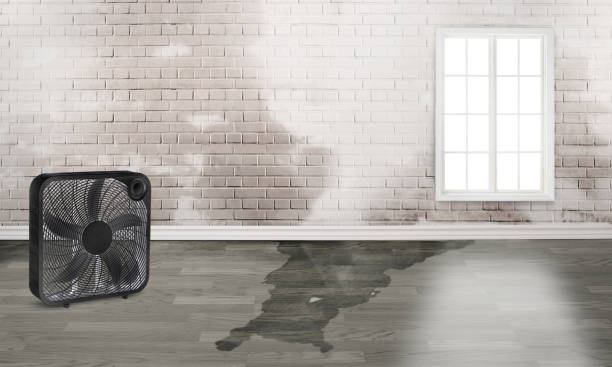 Best Commercial water damage restoration  in Bren Arrow, OK